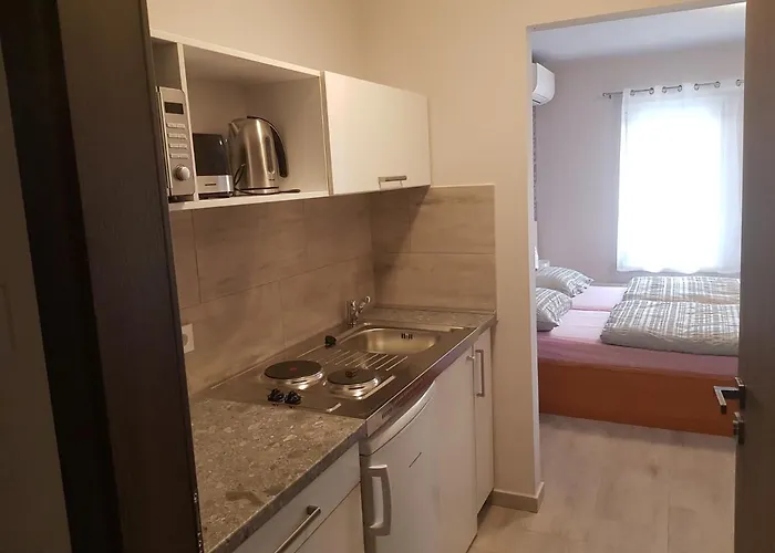 Flamingo Apartmanhaz アパートホテル